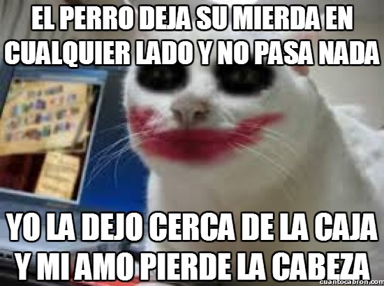 Meme_otros - Joker Cat no consigue entenderlo