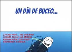 Enlace a Vaya, pues tampoco es un pez tan peligroso...