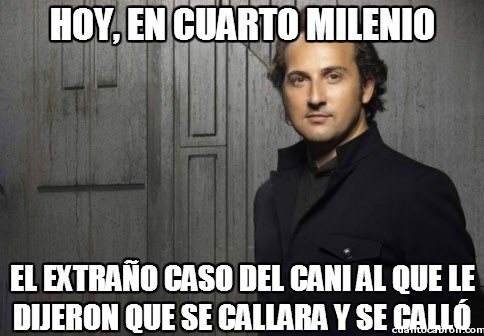 Parece que están aprendiendo nuestro idioma Parece que están aprendiendo nuestro idioma