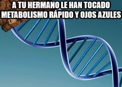 Enlace a La lotería de la herencia