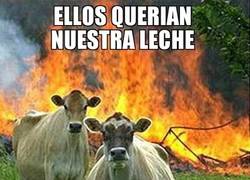 Enlace a Las vacas asesinas