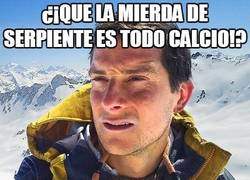 Enlace a Serpientes, fuente natural de calcio