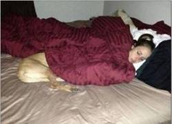 Enlace a ¿Una mujer muy perra o una perra muy mujer?