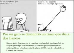 Enlace a El detective gato