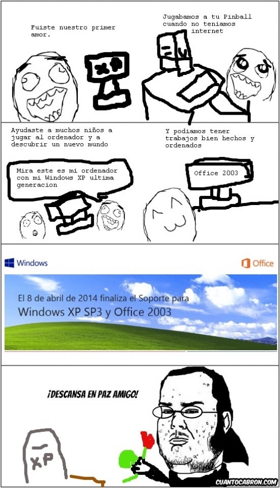 acabar,finalizar,office 2003,soporte,windows xp