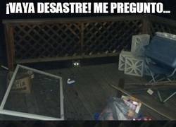 Enlace a Terrorismo animal