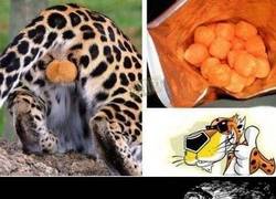 Enlace a ¿Nunca te has preguntado por qué los Cheetos son de color naranja?