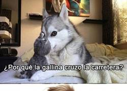 Enlace a El mejor chiste de Toc Toc que he visto nunca