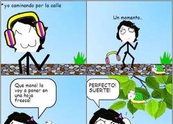 Enlace a Los caracoles también sueñan