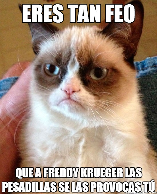 Grumpy_cat - Eres tan feo...