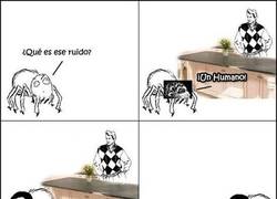 Enlace a Tengo MIEDO. Yo nunca me había imaginado un mundo paralelo dominado por arañas.