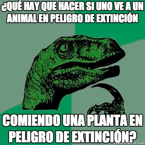 animal,extinción,planta
