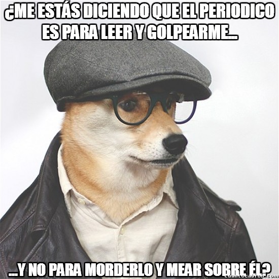 doge hipster,leer,mear,periodico