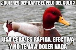 Enlace a Consejos de depilación trasera