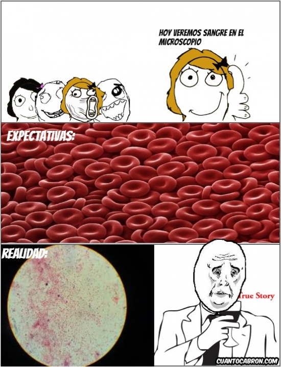 microscopio,okay,sangre