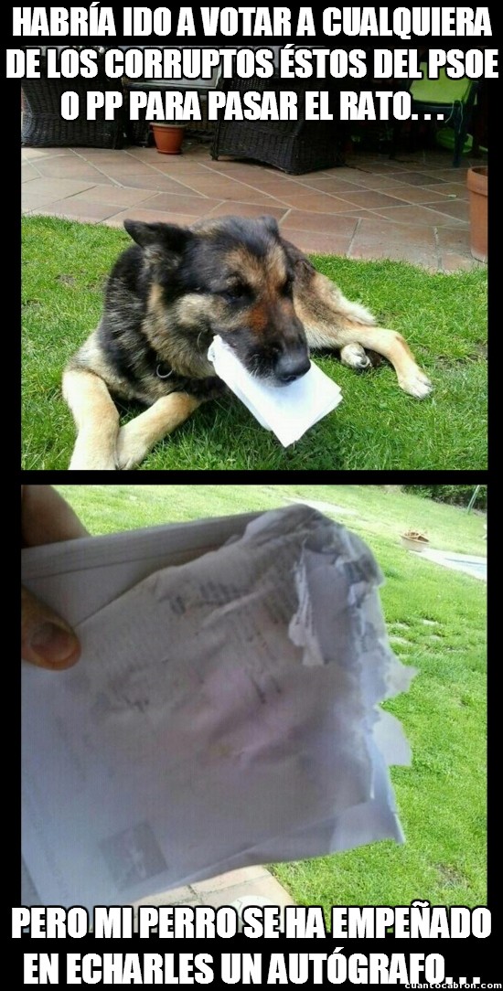 Meme_otros - No puedo votar porque mi perro se ha comido las papeletas
