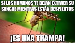 Enlace a Y los mosquitos creen que nosotros somo estúpidos de dejarnos picar