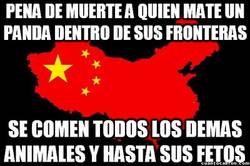 Enlace a Las leyes irregulares de China