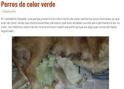 Enlace a Hulk, no me digas que...