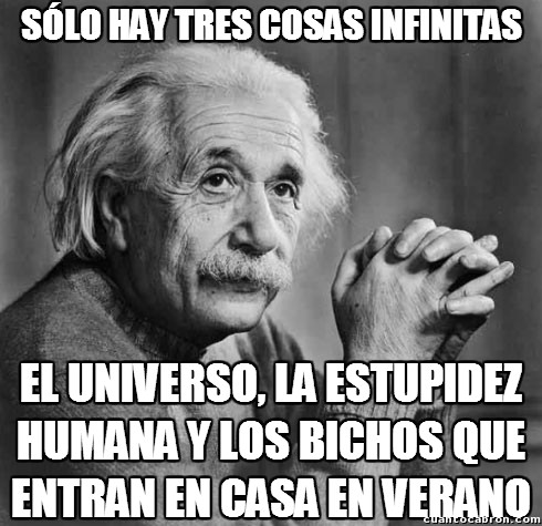 bichos,Einstein,estupidez humana,tres cosas infinitas,universo,verano