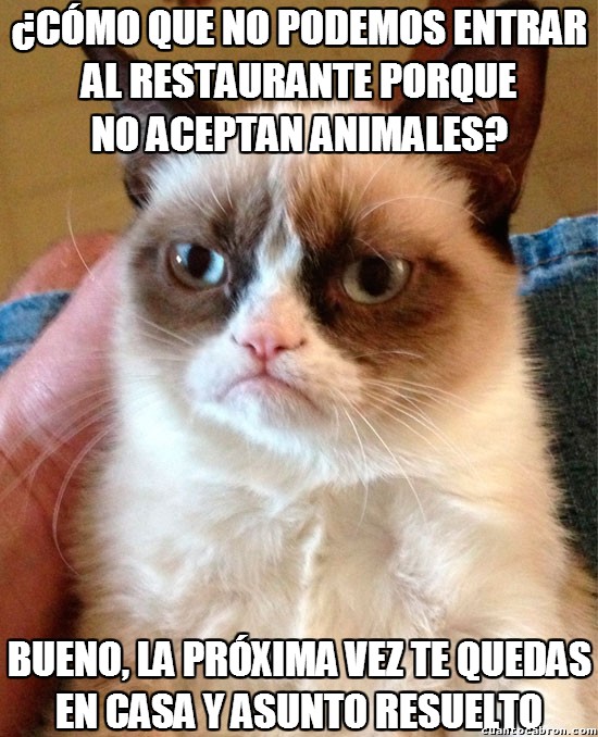 Grumpy_cat - No se aceptan animales