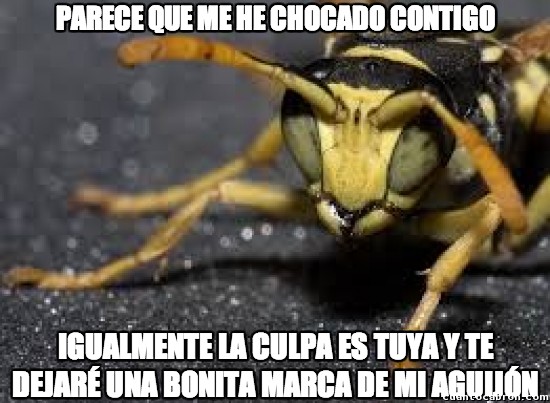 Meme_otros - Lógica de los insectos
