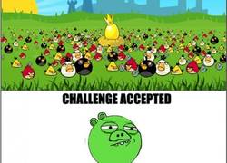 Enlace a Los cerdos del Angry Birds no tienen miedo a nada