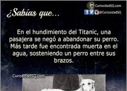 Enlace a No estoy llorando, sólo se me ha metido algo en el ojo