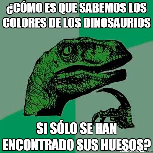 colores,dinosaurios,fosiles,huesos,paleontologos,piel