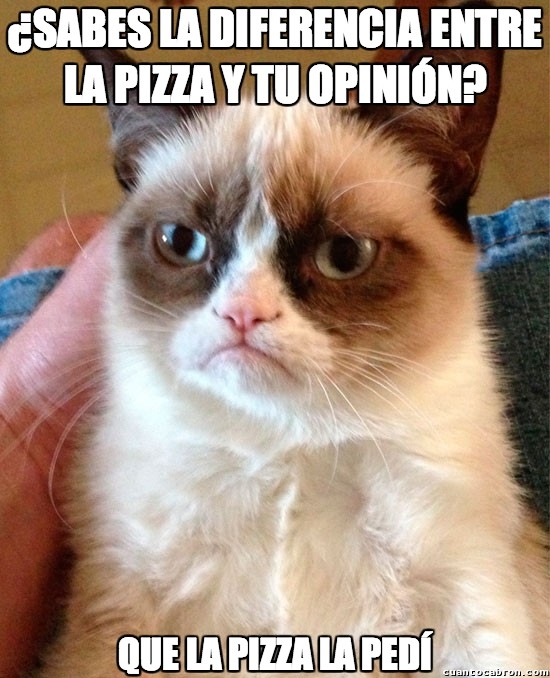 grumpy cat,opinión,pedir,pizza