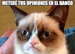 Enlace a Tu opinión carece de interés