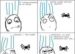 Enlace a Arañas suicidas, no sabéis dónde os habéis metido