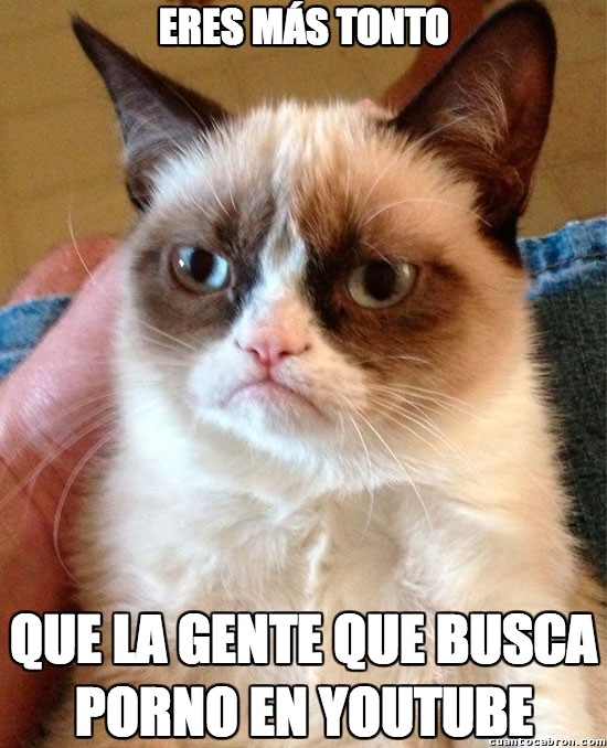 Grumpy_cat - Aunque si buscas, algo hay