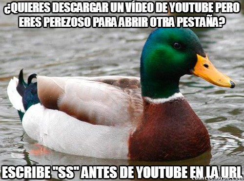 Pato_consejero - Éste es el mejor truco para descargar vídeos de youtube