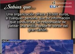 Enlace a ¡Qué ardilla ni qué ocho cuartos! ¡A por el dinero!