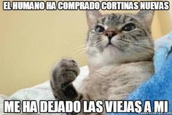 Enlace a ¡Eso es ser un buen amo!