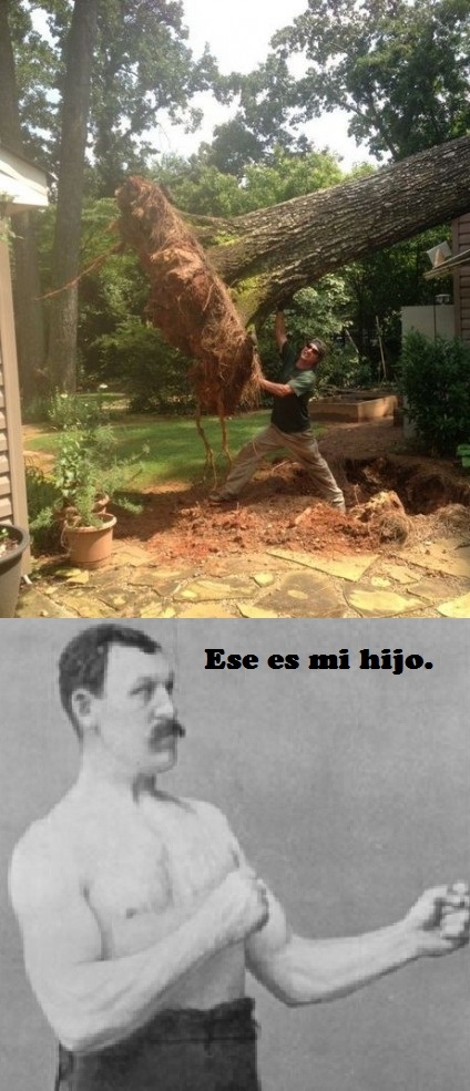 Overly_manly_man - El hijo de Overly Manly Man