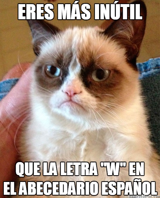 abecedario,español,Grumpy cat,inútil,pocas palabras la usan,w