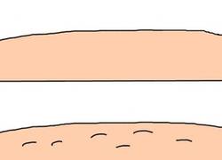 Enlace a La dura vida del vello