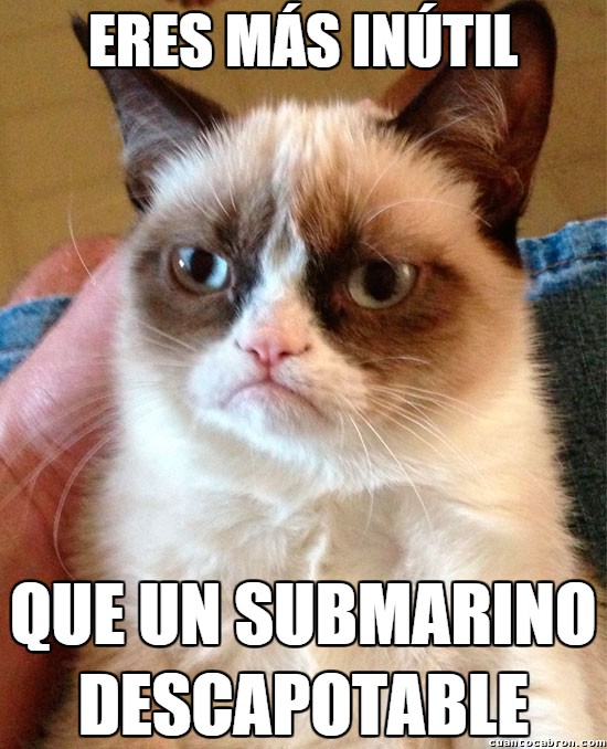 descapotable,eres mas inutil,gato,Grumpy Cat,submarino