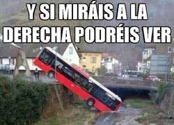 Enlace a Un autobus con sed