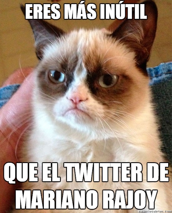 Grumpy_cat - Seguro que se lo pides y no sabe ni escribir un tweet