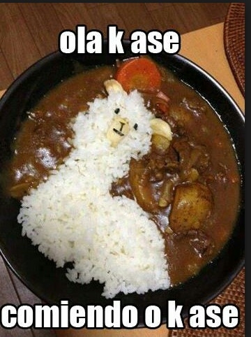 arroz,comida,llama,ola k ase,sartén
