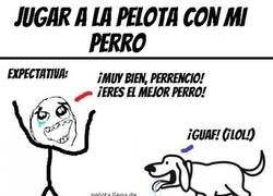 Enlace a Algunos perros tienen el sentido troll muy desarrollado