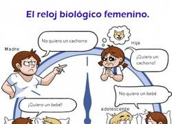 Enlace a El reloj biológico de la mujer, real como la vida misma