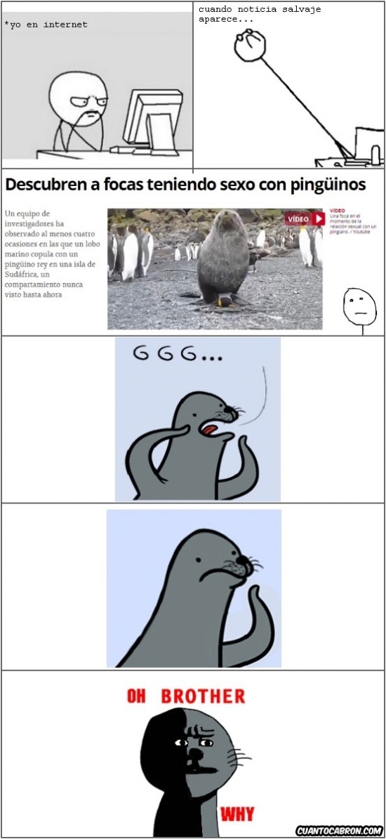 Oh_god_why - Ni siquiera una foca homofóbica puede insultar a alguien de su familia