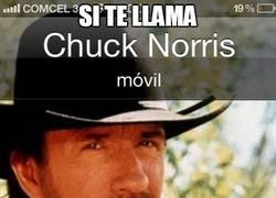 Enlace a Cuando te llama Chuck Norris