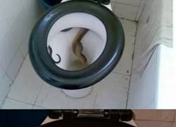 Enlace a Pues yo también habría hecho exactamente lo mismo