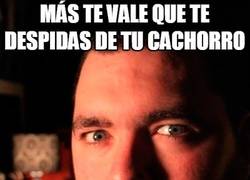 Enlace a ¡Adiós a tu cachorro!