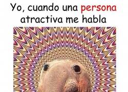 Enlace a Siento que yo también soy atractivo